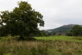 Scenic view of Tree and House in Ambleside countryside, Cumbria