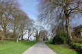 Tree Lined Country Road Royalty Free Stock Photo