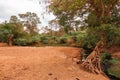 Scenic view of a trees growing on the banks of River Lumi in Mwatate Town in rural Kenya Royalty Free Stock Photo