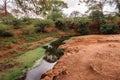 Scenic view of a trees growing on the banks of River Lumi in Mwatate Town in rural Kenya Royalty Free Stock Photo