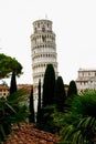 Scenic View through Trees of Leaning Tower and Pisa Cathedral, Piazza del Duomo, Pisa, Tuscany, Italy