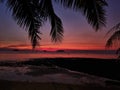 Scenic view of a tropical beach landscape with golden orange sunset sky and tall coconut palm trees Royalty Free Stock Photo