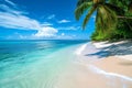 A scenic view of a tropical beach with palm trees and clear water under a blue sky, Tropical beach with crystal clear waters and Royalty Free Stock Photo