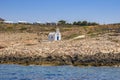 Scenic view of a typical Greek orthodox chapel located next to the sea in Paros island, Cyclades, Greece Royalty Free Stock Photo