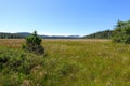 A scenic view of a vast meadow within the forests of Cape scott provincial park.