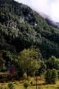 Scenic view of Vikedal Norw after the rain Royalty Free Stock Photo