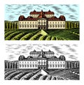 Scenic view of vineyards. Fields and hills of Tuscany. Panoramic vine plantation and a castle or palace. French or