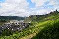 scenic view of vineyards on by the Moselle river, village Alken and Thurant castle on the hill (Germany) Royalty Free Stock Photo