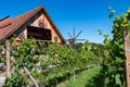 Ehrenhausen - Scenic view of vineyards in Ehrenhausen an der Weinstrasse (wine road), Leibnitz, South Styria Royalty Free Stock Photo