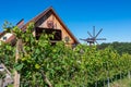 Ehrenhausen - Scenic view of vineyards in Ehrenhausen an der Weinstrasse (wine road), Leibnitz, South Styria Royalty Free Stock Photo