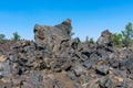 Scenic view of volcanic lava rocks with green conifer trees in background Royalty Free Stock Photo