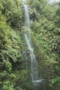 Scenic view of a waterfall cascading down the jungles in Levada in Madeira, Portugal