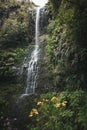 Scenic view of a waterfall cascading down the jungles in Levada in Madeira, Portugal