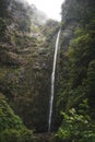 Scenic view of a waterfall cascading down the jungles in Levada in Madeira, Portugal