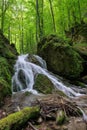 Scenic view of a waterfall cascading down the mossy rocks in a forest Royalty Free Stock Photo