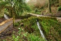 Ninesprings park in Yeovil in Somerset Royalty Free Stock Photo