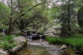 Scenic view of a waterfall in Rascafria on the purgatory route in the mountains of Madrid, Spain