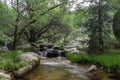 Scenic view of a waterfall in Rascafria on the purgatory route in the mountains of Madrid, Spain