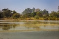 Scenic view of the wetland in wilderness, Karnataka, India. Swamp area in reserve forest Royalty Free Stock Photo