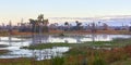 Scenic Wetlands in Central Florida Royalty Free Stock Photo