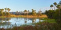 Scenic View of a Wetlands Environment Near Orlando, Florida Royalty Free Stock Photo