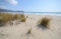 Scenic view of wild coastline of Maremma in southern Tuscany with its typical sand dunes