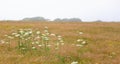 Pembrokeshire Wales wild landscape