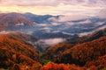 Scenic view of wooded Alps mountains at sunrise, amazing autumn landscape, outdoor travel background Royalty Free Stock Photo