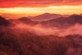 Scenic view of wooded Alps mountains at sunrise, amazing autumn landscape, outdoor travel background Royalty Free Stock Photo