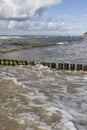 Scenic view of wooden breakwater with Green algae in foaming water of Baltic Sea, Miedzyzdroje, Wolin Island, Poland Royalty Free Stock Photo