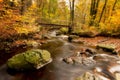 a bridge over a stream in the woods, surrounded by rocks and leaves Royalty Free Stock Photo