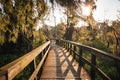 Scenic view of a wooden pathway in a green park at sunset Royalty Free Stock Photo