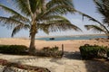 Scenic view of a wooden porch on the beach with palm trees on a sunny day Royalty Free Stock Photo