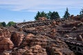 Scenic view of a wooden roller coaster in Eurodisney