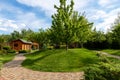 Scenic view yard garden trees and paved stone path road for walk against beautiful blue sky. Landscape design green lawn