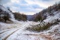 Scenic view of the Zagajica Hills with a broken tree in Serbia during winter