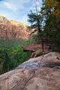 Scenic View of Zions Royalty Free Stock Photo