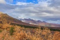Scenic Viewpoint of Denali National Park Alaska Royalty Free Stock Photo