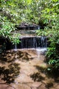 scenic views along hiking trailat table rock mountain south carolina