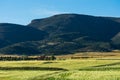 Scenic views of green fields and mountains from the Aures region in Batna, Algeri Royalty Free Stock Photo