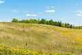 Scenic views of the hills covered with grass and flowers, blue sky and white clouds on a sunny day Royalty Free Stock Photo