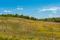 Scenic views of the hills covered with grass and flowers, blue sky and white clouds on a sunny day Royalty Free Stock Photo