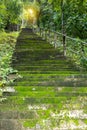 Old concrete staircase on the hillside forest. Royalty Free Stock Photo