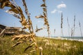 Scenic views at oak island beach north carolina Royalty Free Stock Photo