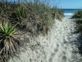 Scenic views at oak island beach north carolina Royalty Free Stock Photo