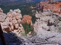 Scenic views at Rainbow Point, Bryce Canyon National Park