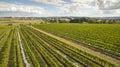 Scenic vineyard and farmland, Australia Royalty Free Stock Photo