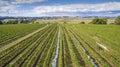 Scenic vineyard and farmland, Australia Royalty Free Stock Photo