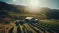 Scenic vineyard landscape aerial view of wine grape fields and villa in sunny rural setting