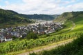 scenic vineyards on the banks of the Moselle river and a panoramic view of the German village Alken (Alken, Germany)